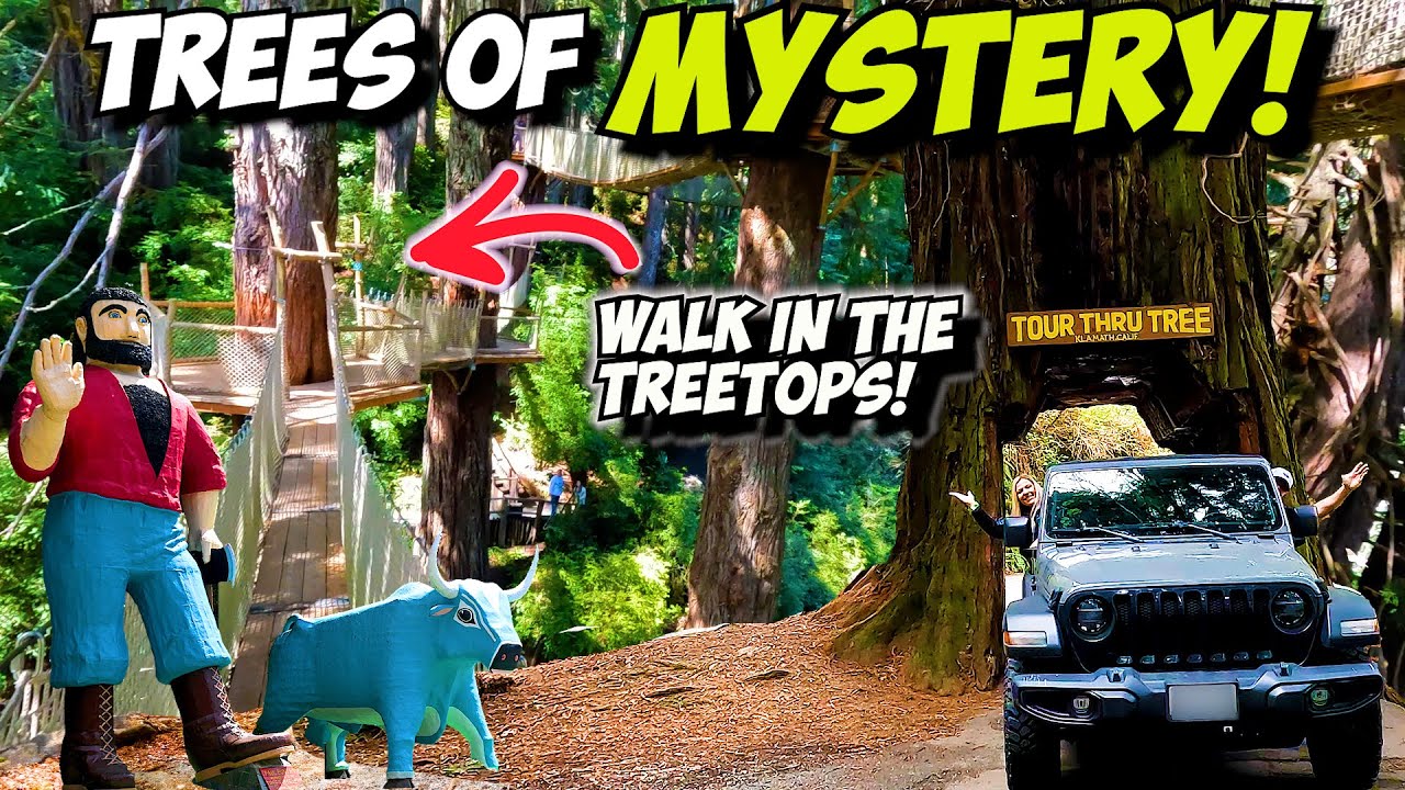 Best Places to Visit Redwood National & State Parks. Trees of Mystery & Drive Thru Tree | California