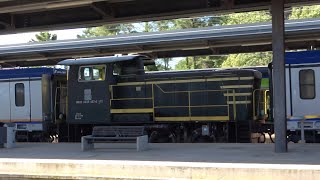 2022/06/10 【イタリア 配給輸送】 245形入換機関車 2257号機 ピサ中央駅 | Italy: FS 245.2257 at Pisa Centrale