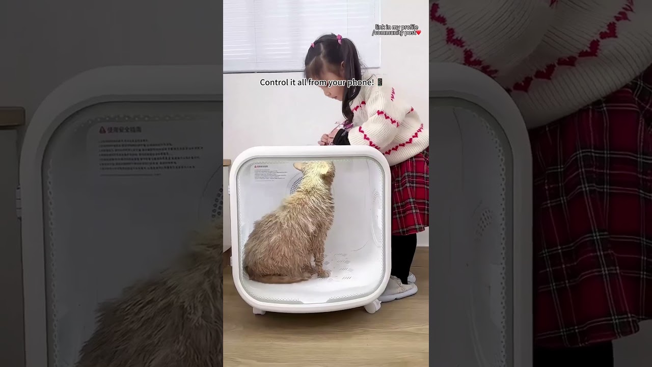 🐾 Transform your pet's drying routine !In just 30 minutes, your kitty is dry and cozy.