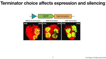 UW Data Science Seminar 01/25: Sayeh Gorjifard