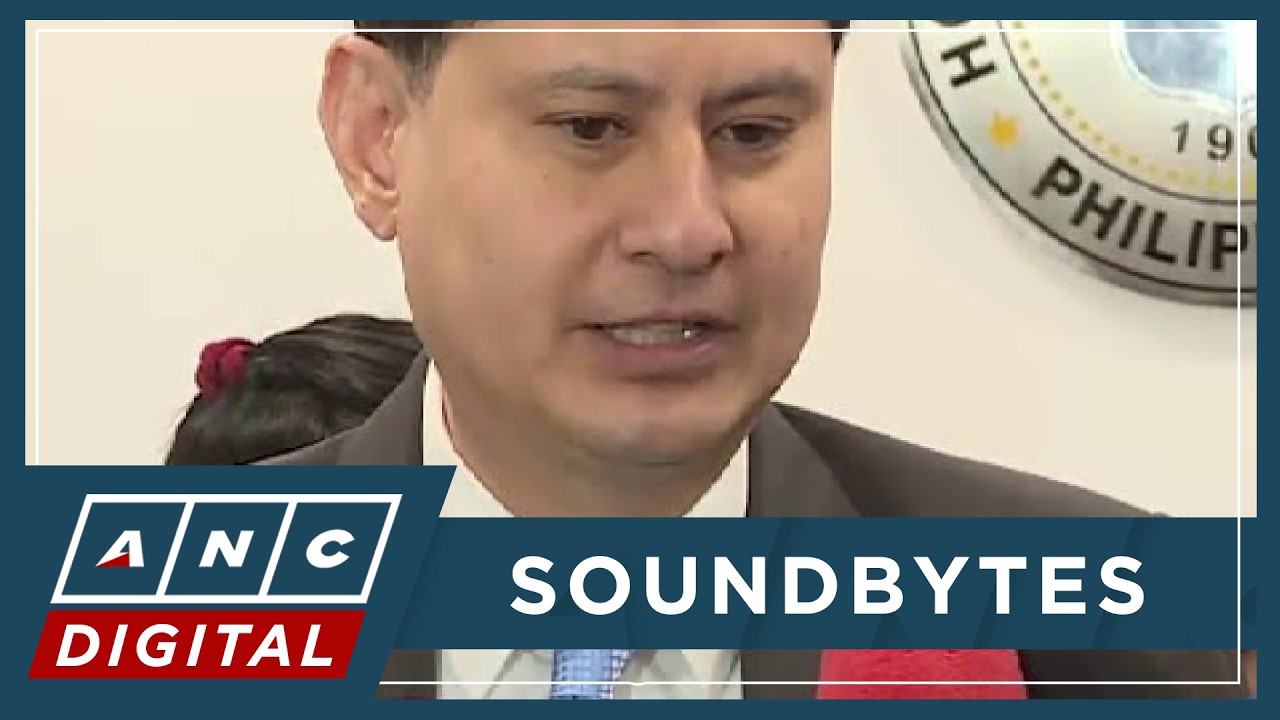 Defensor: House revised rules will be aligned with constitutional provisions | ANC