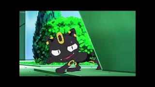 Don George Found Umbreon Meowth