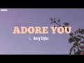 Harry styles  adore you lyrics