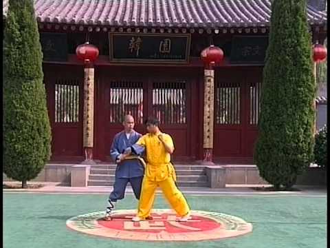 Shaolin 32 Methods of Qin Na