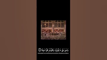 واصبر على مايقولون واهجرهم هجراً جميلا - علي جابر - سورة المزمل