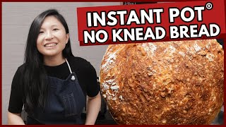 Instant Pot Bread #15 | Easy 4-Ingredient No Knead Bread!