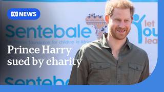Prince Harry sued for defamation by charity he co-founded | ABC NEWS