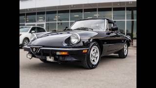 1987 Alfa Romeo Spider 2dr Coupe Graduate screenshot 5