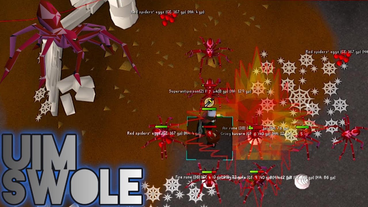 Loot From 1400 Temple Spiders As A UIM (UIM #34)