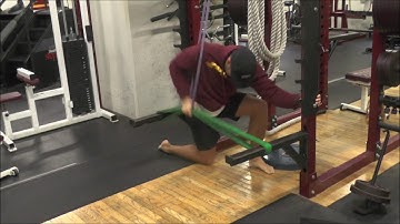 Bent Over Row Kneeling Double Banded AFSM Cocontraction Triphasic speed Method