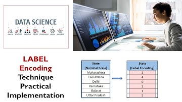 Label Encoding || Encoding Techniques Practical Implementation || Data Science  @datatechinfo