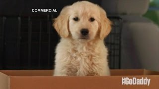 GoDaddy Super Bowl Commercial Pulled After Backlash