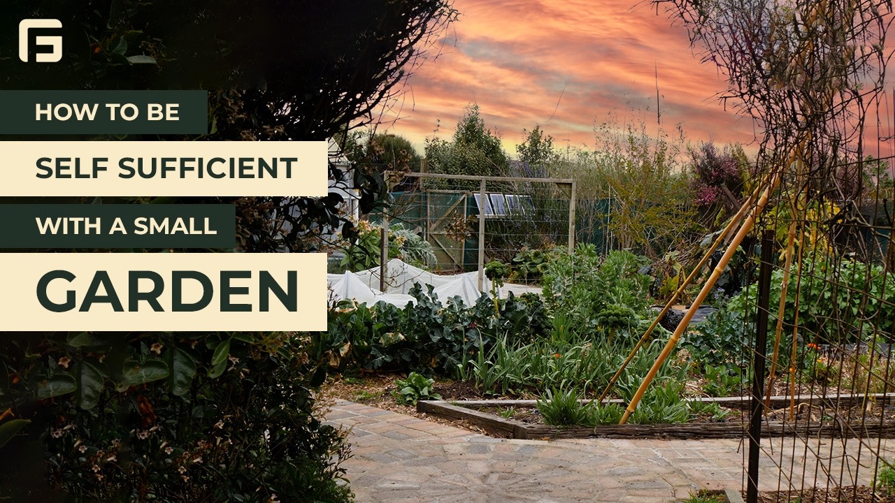 Small Garden Self Sufficiency Tips from Crafty Gatherer NZ | GridFree Connections