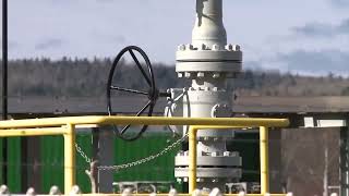 Pipeline leak west of Dawson Creek under investigation, says BC’s Energy Regulator Pipeline leak west of Dawson Creek under investigation, says BC’s Energy Regulator