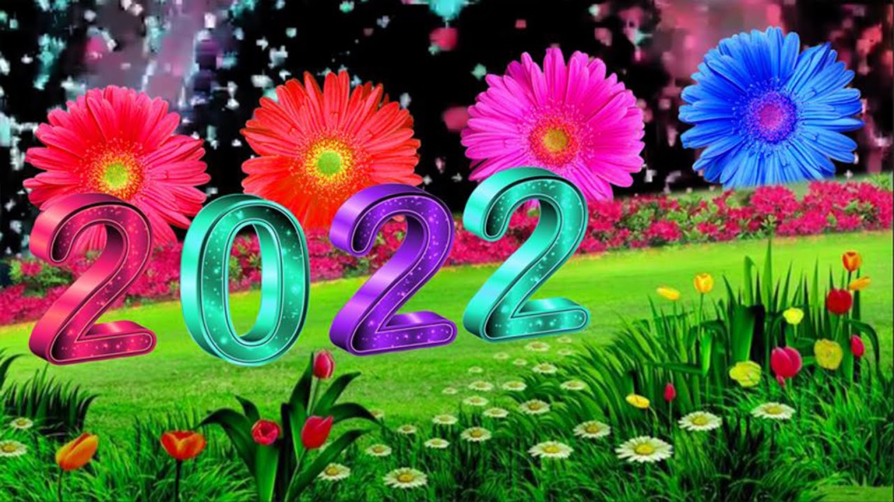happy new year 2022 green screen effects / Green Screen Video New Year ...