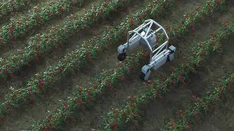 FOTENIX PRODUCT VIDEO