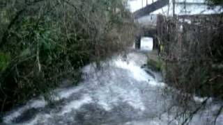 Paseo por el rio Sarela