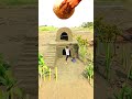 creative amazing home 🏠 videography 🪑 pumpkin#creative #funn #amazing #trending #videography #short
