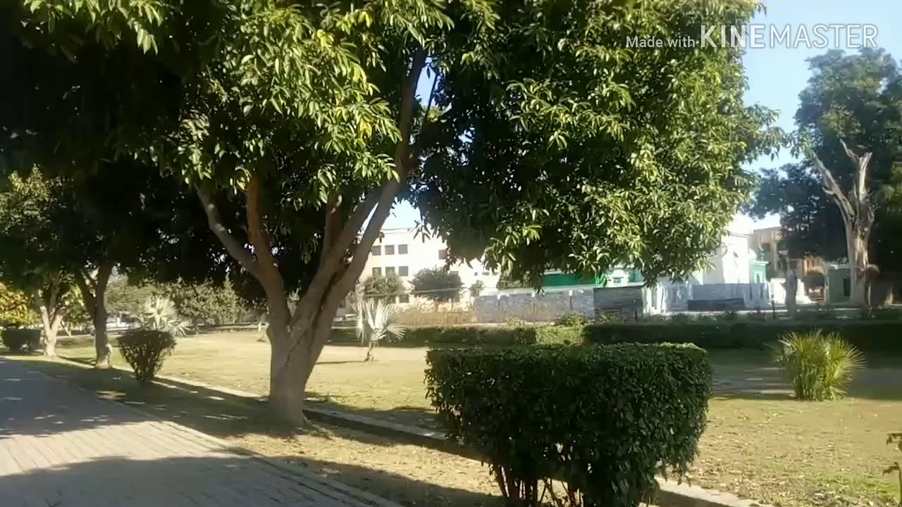 University of Gujrat . Uog basic information in this video