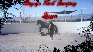 bugsy's first jumping lesson