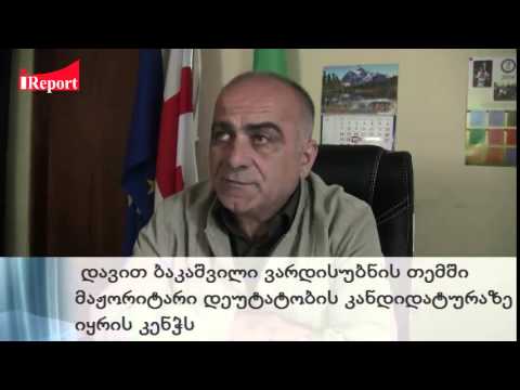 დავით ბაკაშვილი ვარდისუბნის თემში მაჟორიტარი დეუტატობის კანდიდატურაზე იყრის კენჭს