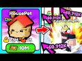 I bought 10 million ricket house pet and became super op in roblox pull a sword