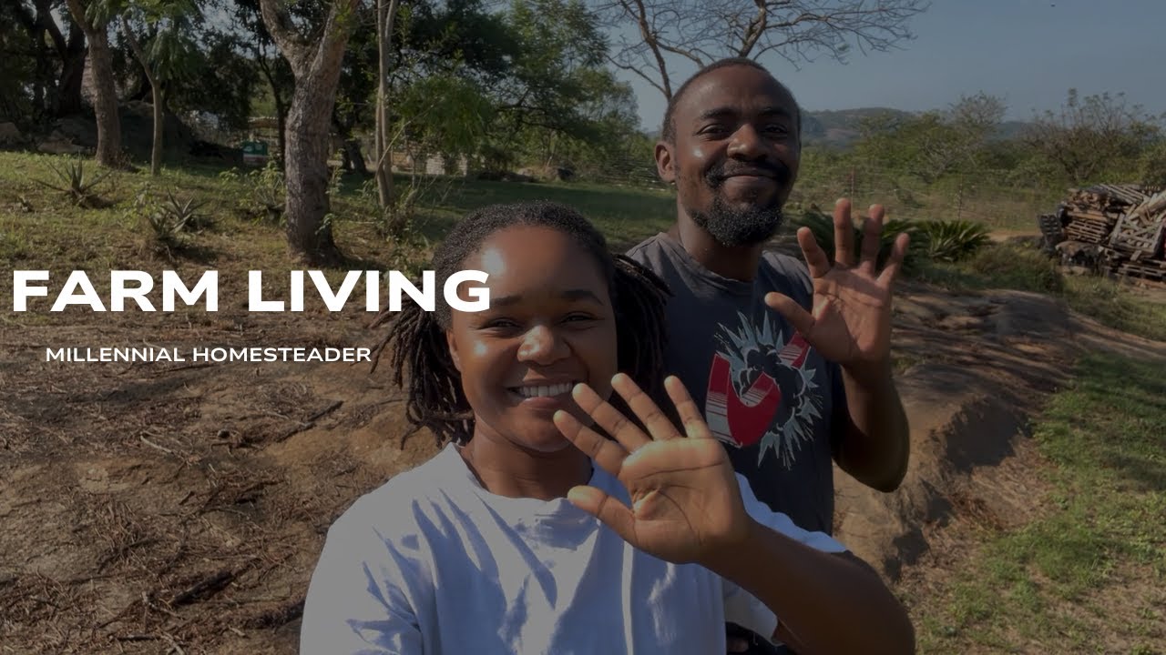 Cow Manure | Homesteading in South Africa | Millennial Homesteader