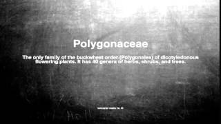 Medical vocabulary: What does Polygonaceae mean