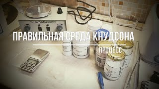 Приготовление ПРАВИЛЬНОЙ среды Кнудсона для ПОСЕВА СЕМЯН орхидей