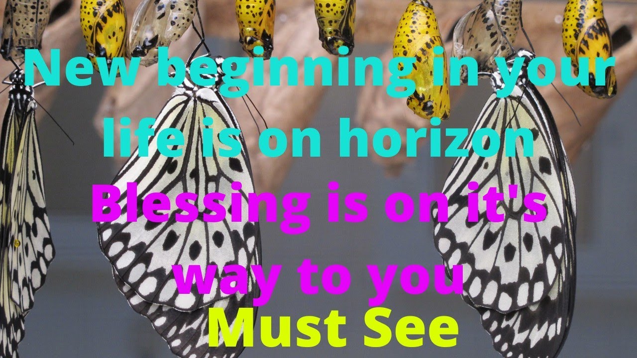 Law of attraction quotes | secret quotes law of attraction | Motivational quotes law of attraction