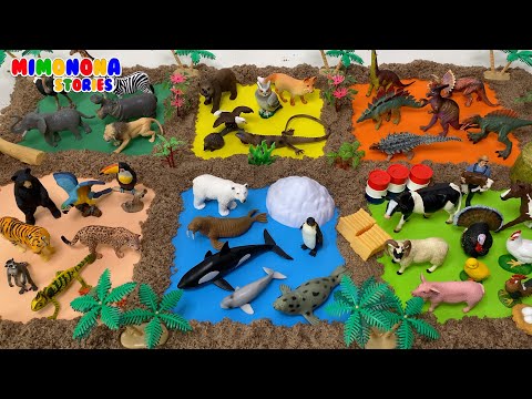 Animales para Niños 🐧🐓 Bosque Polo Norte Granja Selva Dinosaurios Sabana ✨ Mimonona Stories