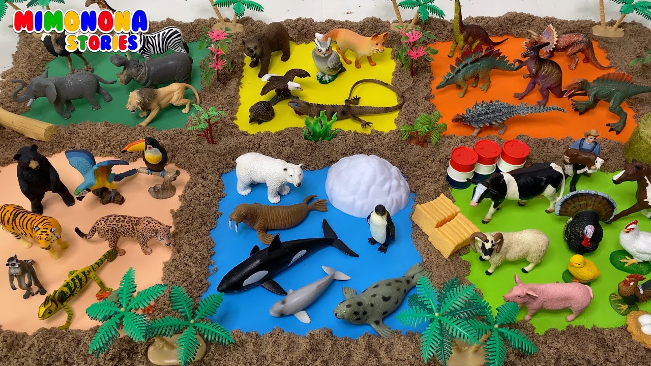 Animales para Niños 🐧🐓 Bosque Polo Norte Granja Selva Dinosaurios Sabana ✨ Mimonona Stories