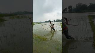 Rural Boys Prove Their Traditional Fishing Skills #fishing #haveitoldyoulatelythatiloveyou