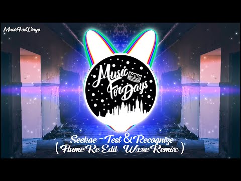 Seekae - Test & Recognize [Flume Re-Edit - Wxse Remix]