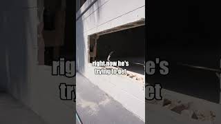 How much to pay for multifamily? Consult with Ben