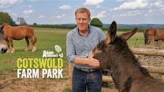 Adam Henson's Farm Diaries Ep0 - Lockdown Life