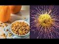 Eating These Seeds Can Prevent Cancer and Fight Many More Diseases!