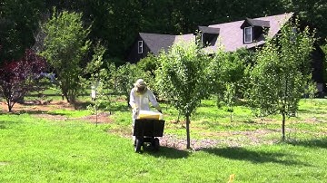 Installing a Swarm into a hive