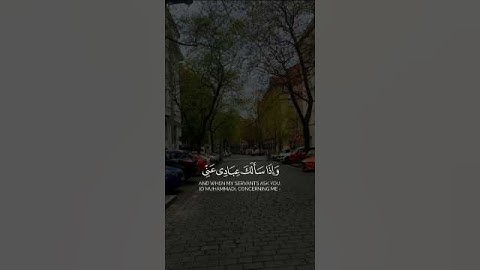 واذا سألك عبادي عني فإني قريب _كروما خلفية سوداء _ شايع التميمي _قران شاشة سوداء سورة البقرة #قرآن