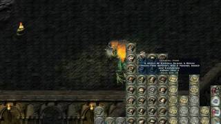 Divine Divinity - Demonic Wabbit