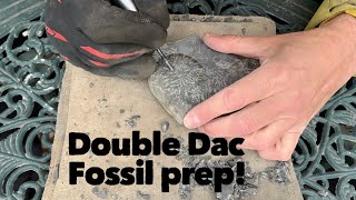 Fossil Prep Timelapse: Beautiful Double Dactylioceras from Runswick Bay! ASMR.