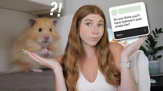 Am I Always Going to Have Hamsters? | Q&A