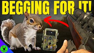 These 5 THINGS Were BEGGING FOR Could CHANGE COTW FOREVER!!! - Call of the Wild