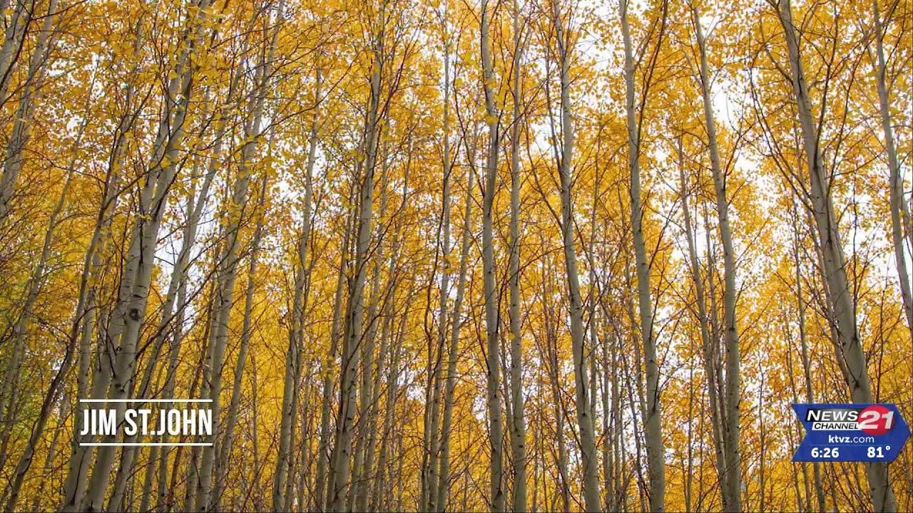 Out & About You all outdo yourselves, every week YouTube