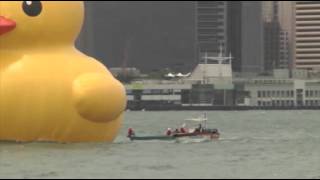Raw: Giant Rubber Duck Comes to Hong Kong Harbor