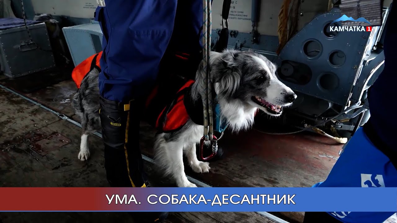 «МЧС. Экстренный вызов»