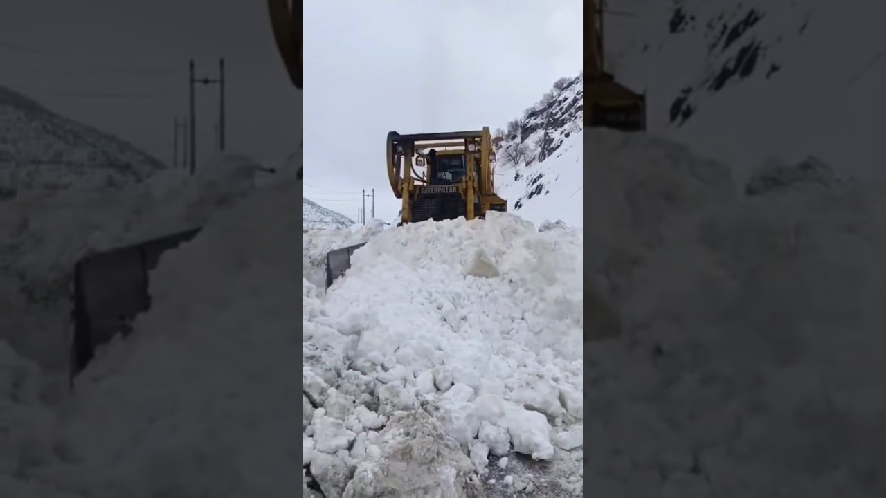 Snow Removal Beast ❄️ 