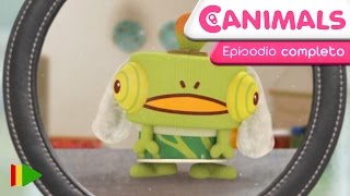 Canimals - 26 - Latas Dobles