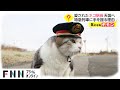 「ネコ駅長」天国へ 特急列車に毎日手を振っていたワケ