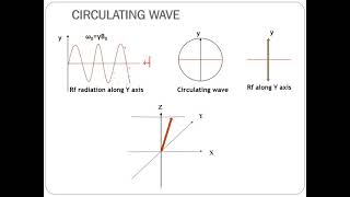 FT-NMR BASICS